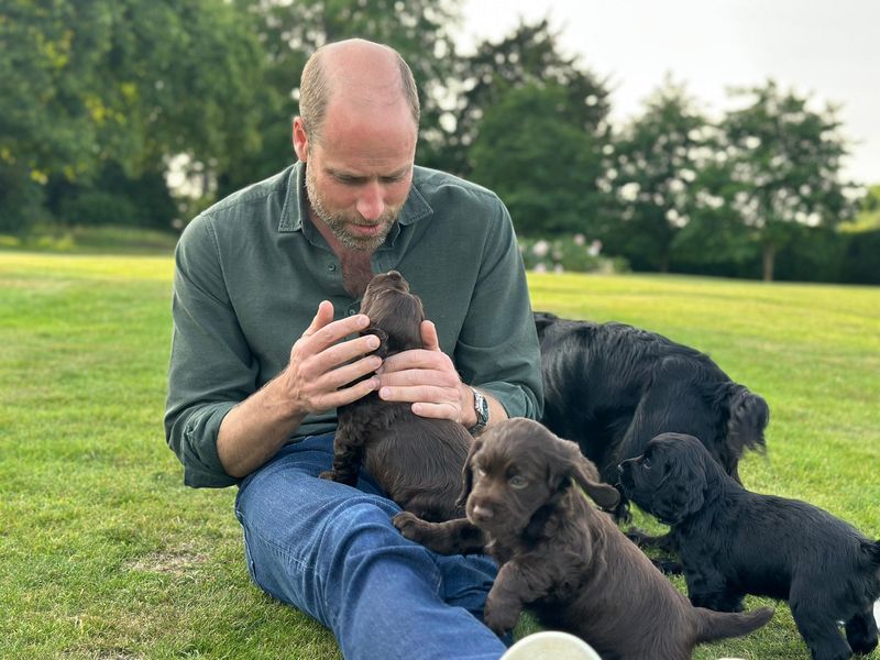 Prince William's Birthday Joy