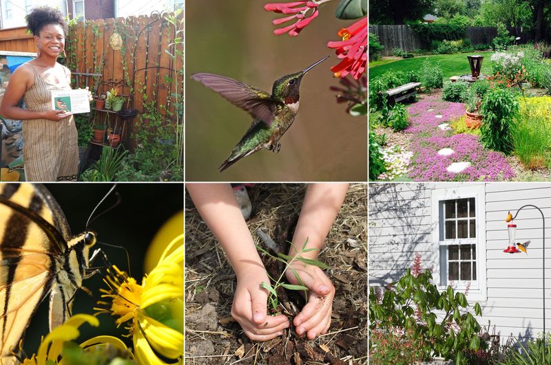 Wildlife-Friendly Gardening