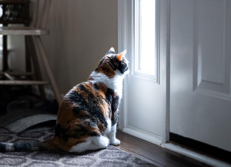 Too Much Alone Time
