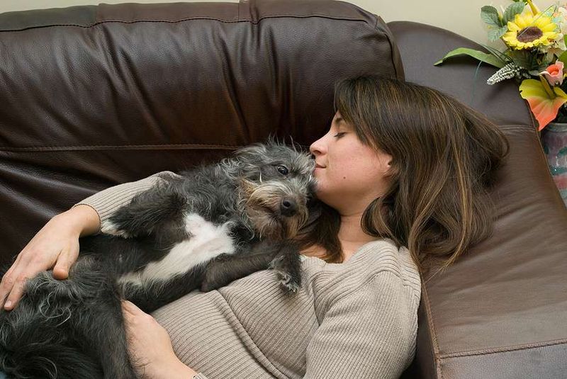 Comforting Presence