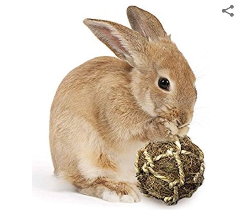 Coconut Fiber Ball
