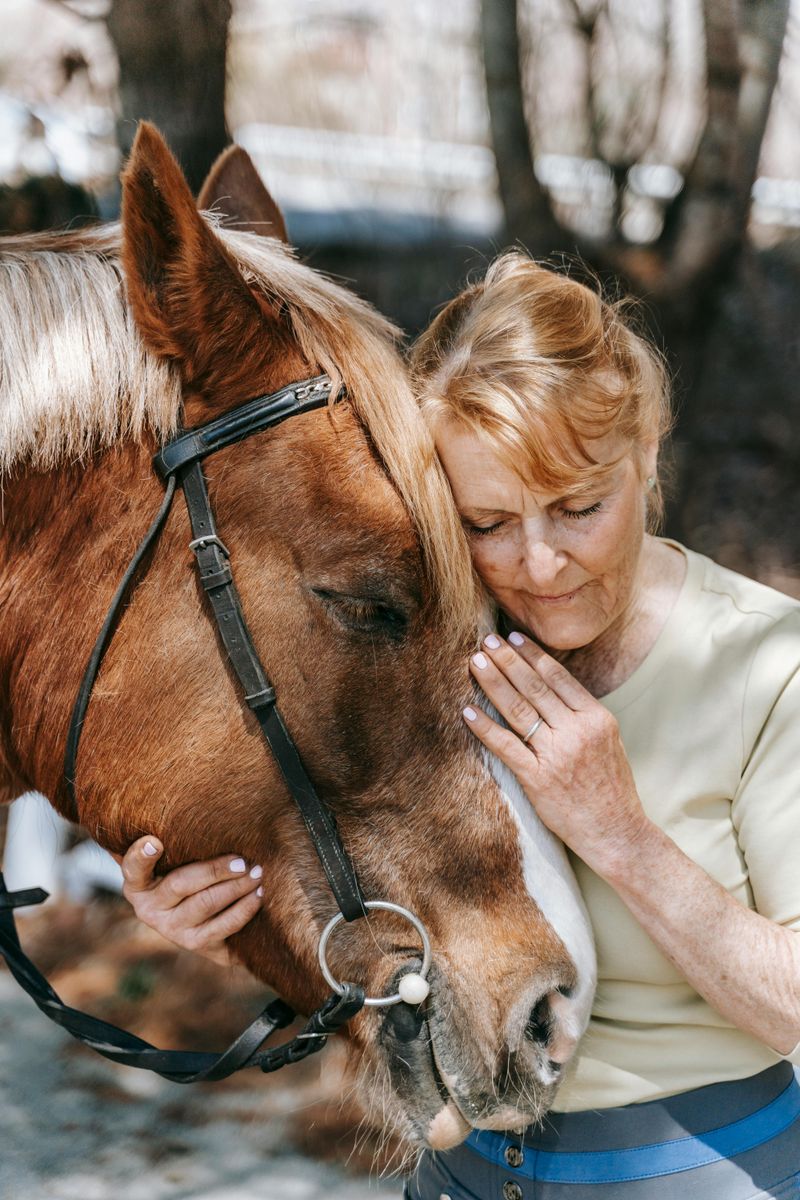 Equine Therapy