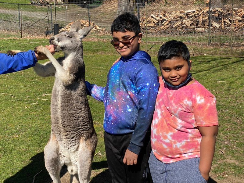 Kangaroo