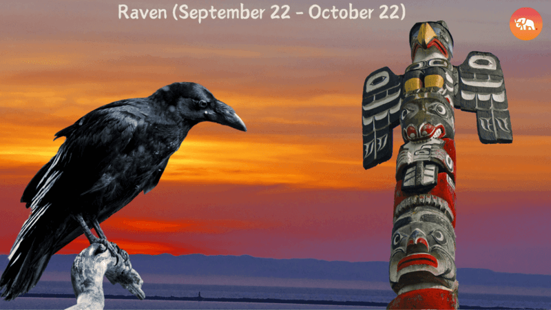 Raven