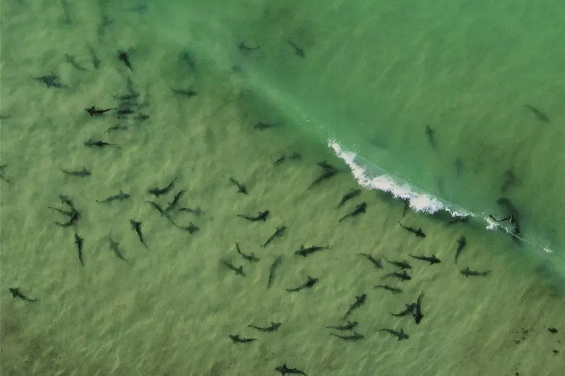 La Jolla, Southern California