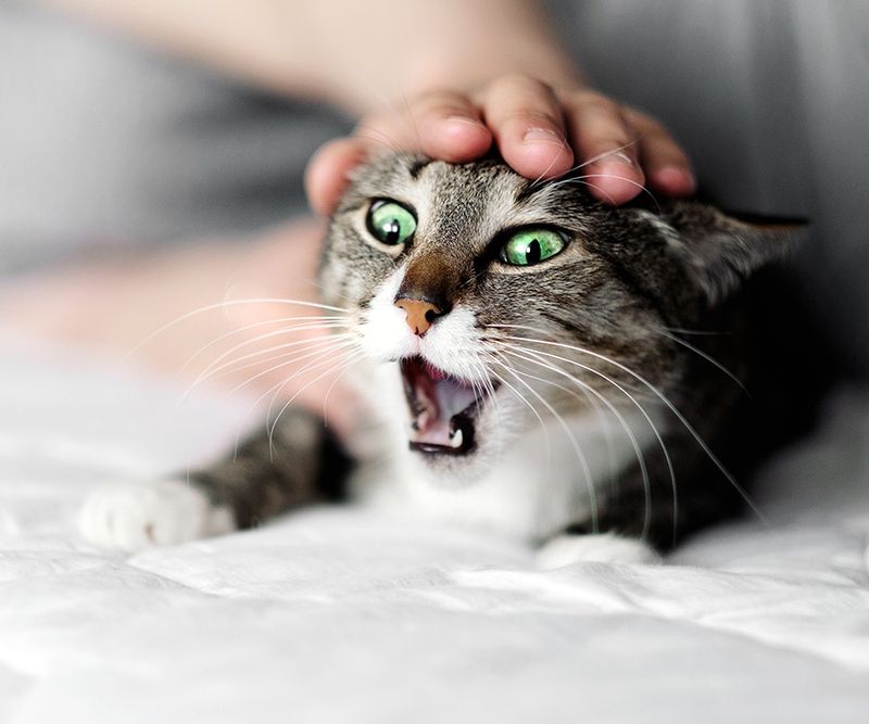 Redirected Aggression