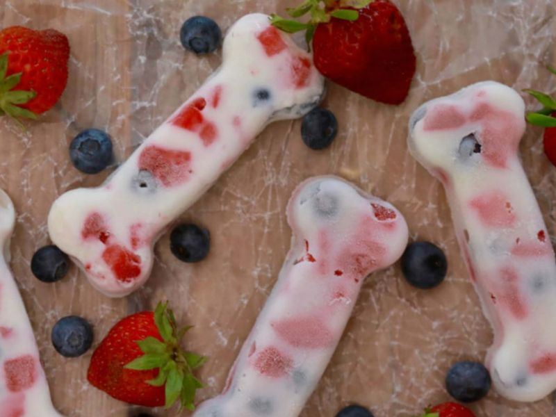 Offer Frozen Treats