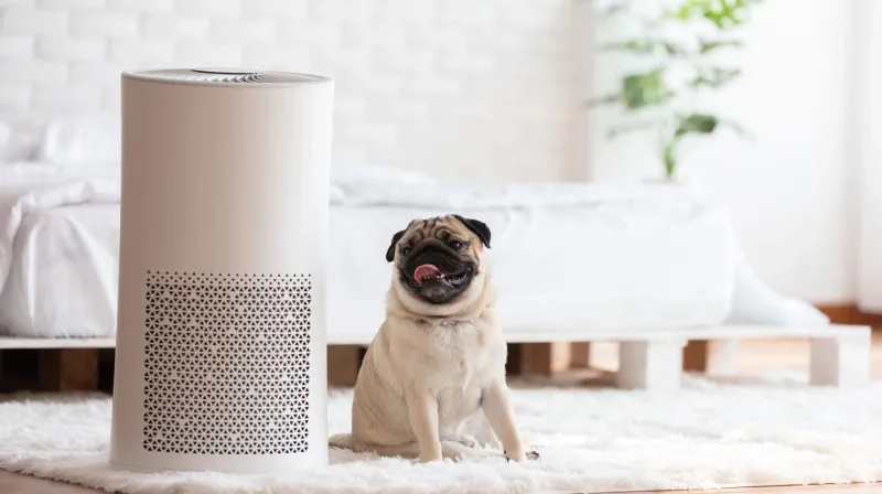 Air Purifiers
