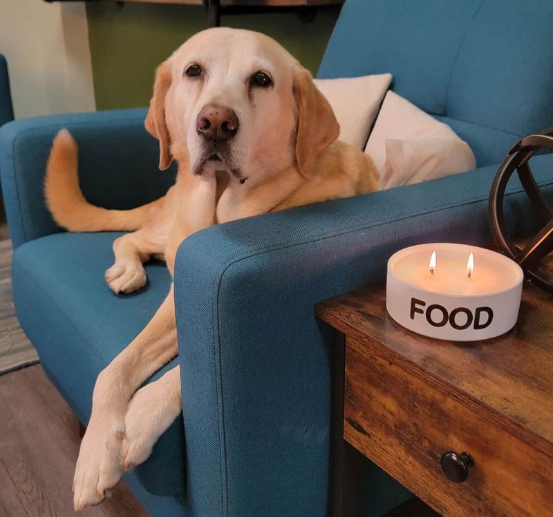 Odor Eliminating Candles