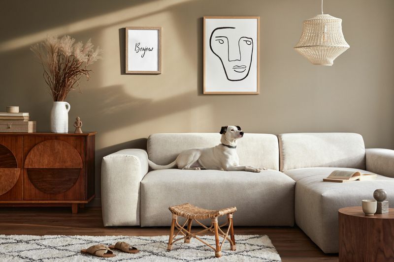 Maintain Clean Living Spaces