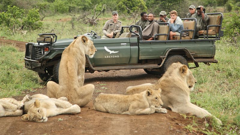 Regulated Safari Practices