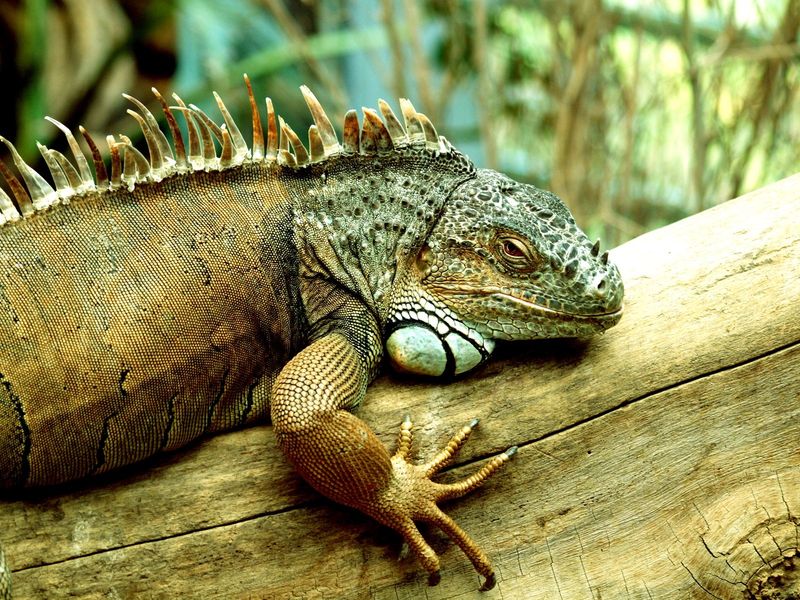 Relaxed Posture