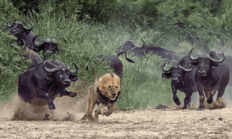 Powerful Defense Tactics