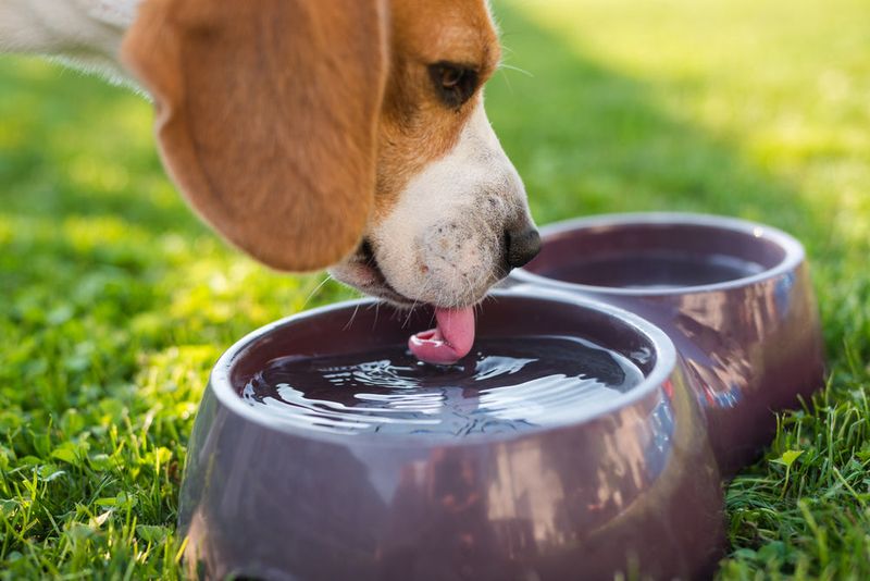 Hydration is Key