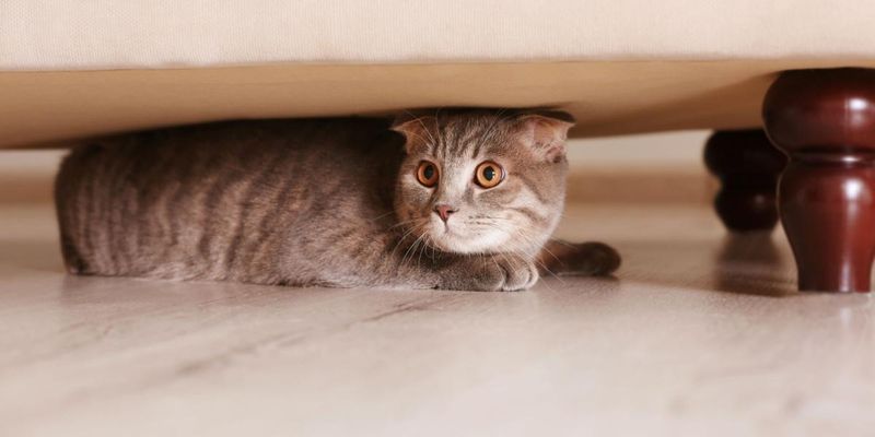 Hiding in Unusual Places