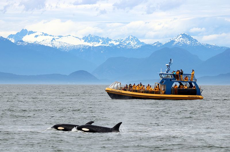 Vancouver Island, Canada
