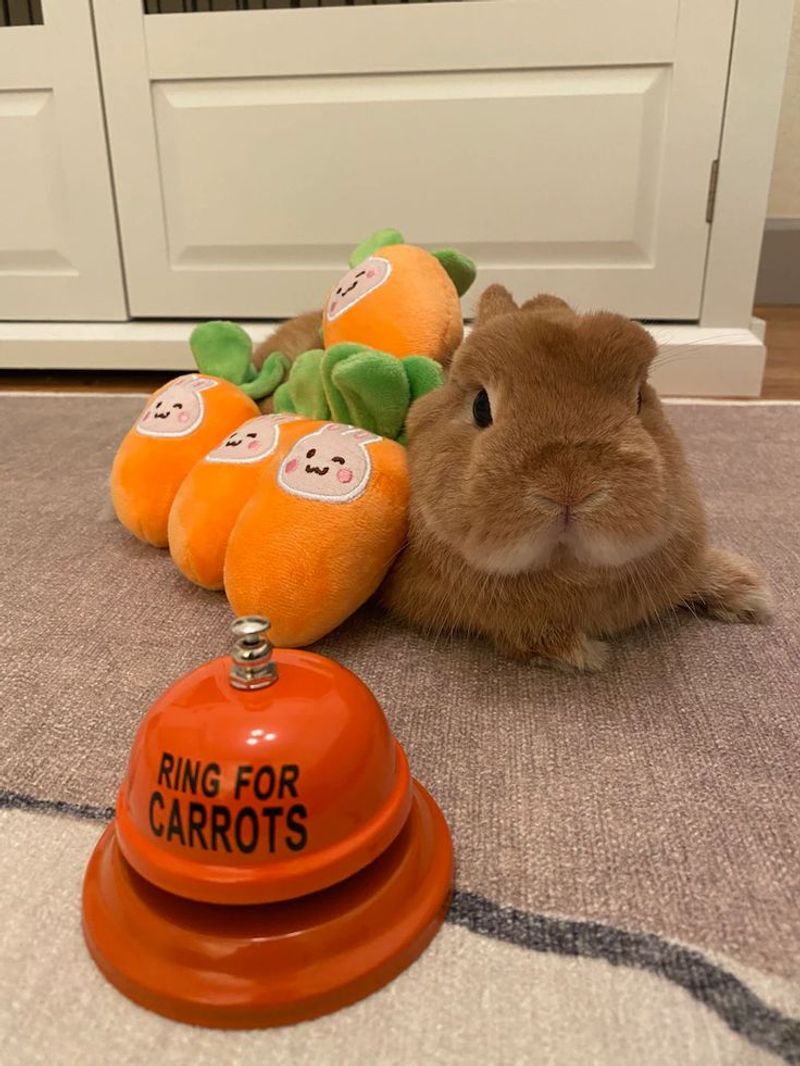 Ring the Bell
