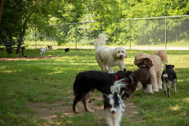 Tails ‘n Trails Dog Park