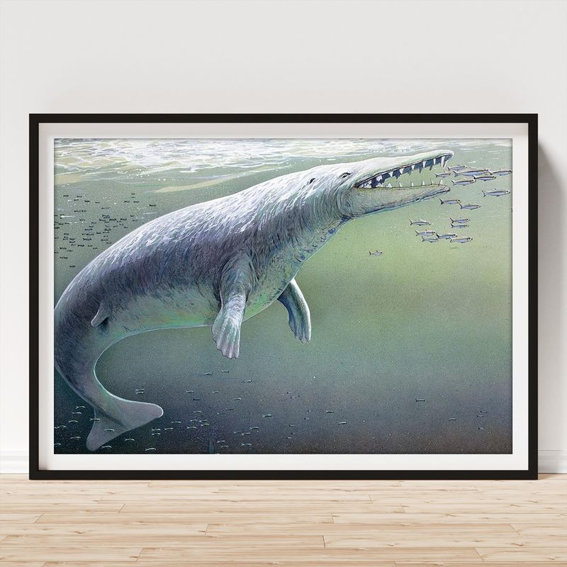 Protocetus