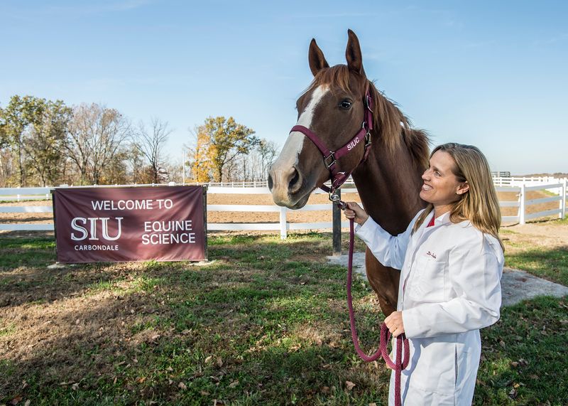 Horses in Science: Advancing Knowledge