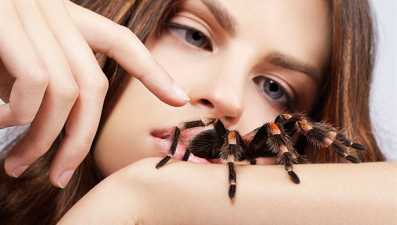 The Joy of Observing Tarantulas
