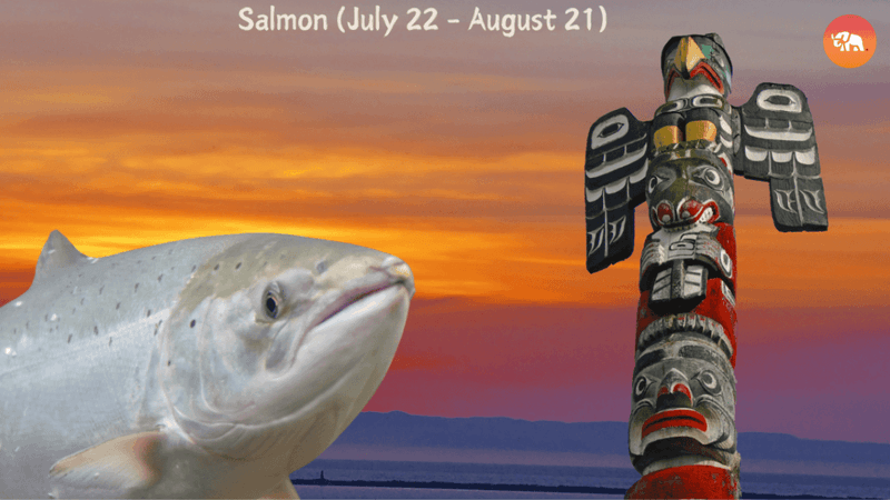Salmon