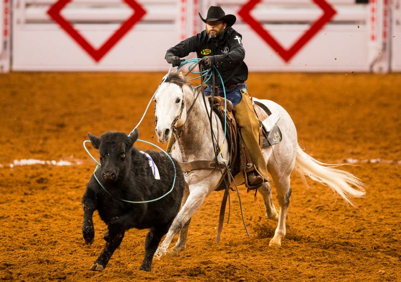 Fort Worth Stock Show & Rodeo