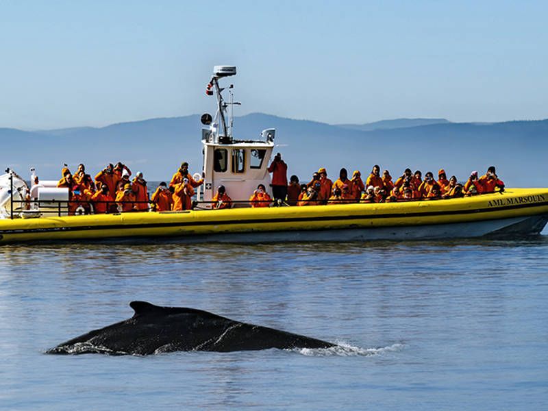 Tadoussac, Canada