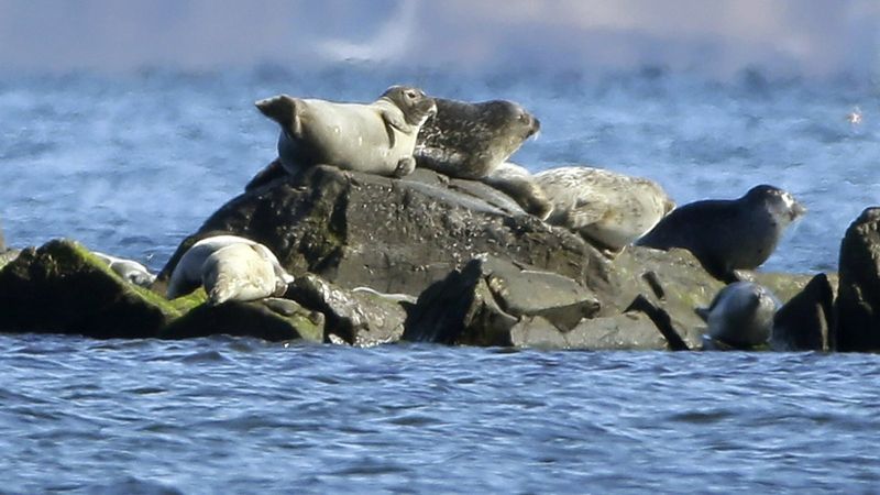 Narragansett Bay, Rhode Island