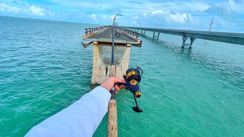 Marathon & Seven Mile Bridge