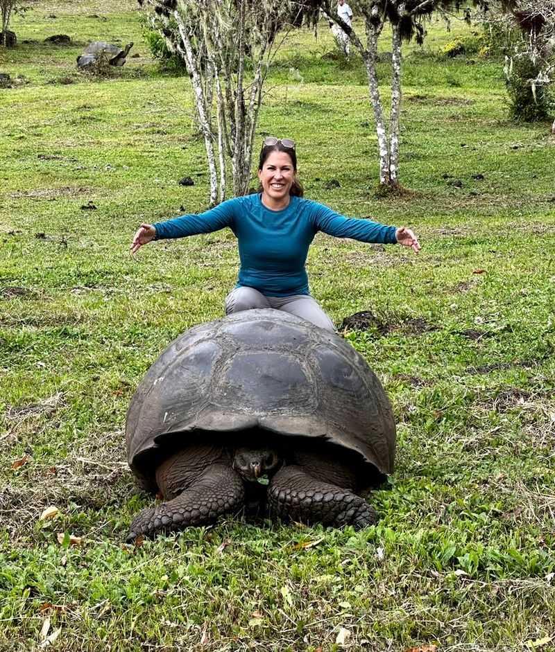 Galápagos Tortoise