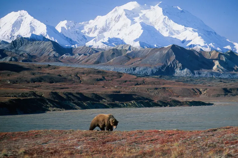McKinley Bar Trail – Denali NP, AK