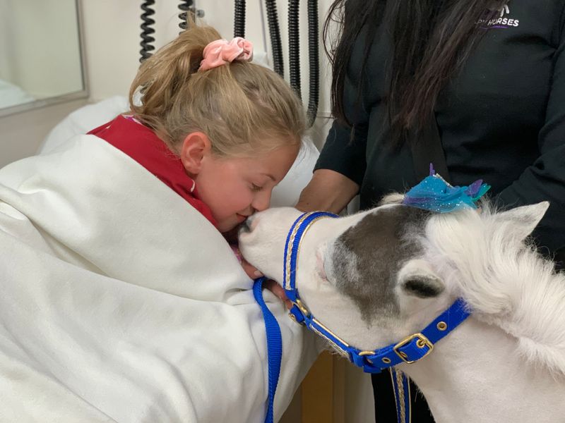 Miniature Horse