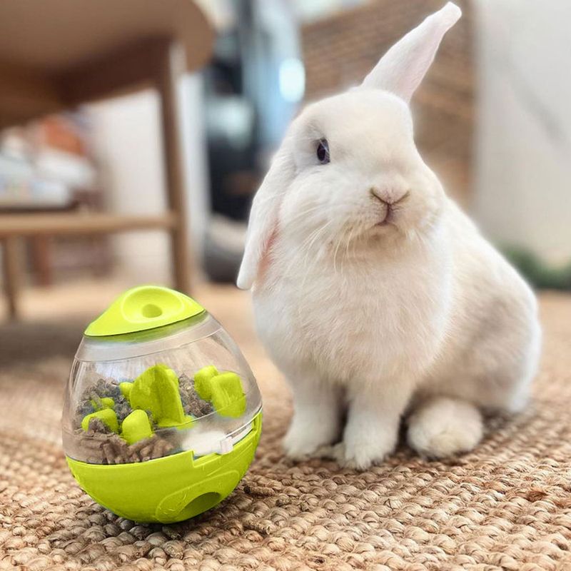 Interactive Treat Ball