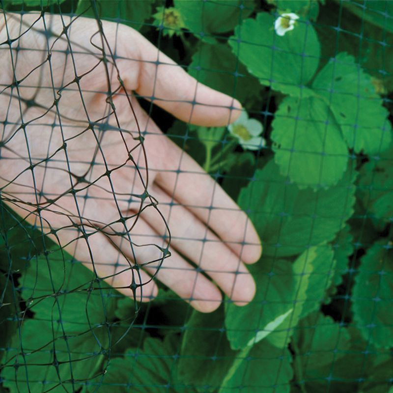 Garden Netting