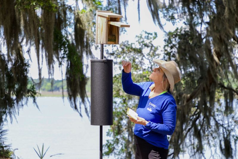 Monitoring and Observation