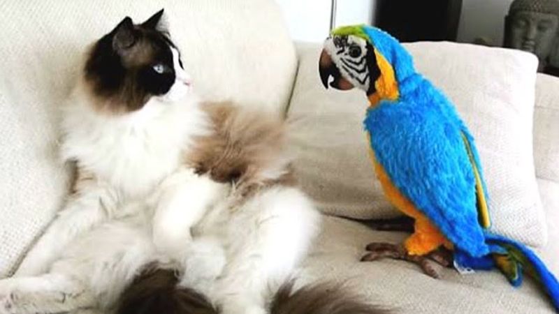 Communication: Understanding Each Other’s Language