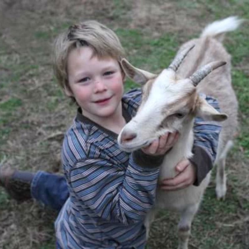 Goats