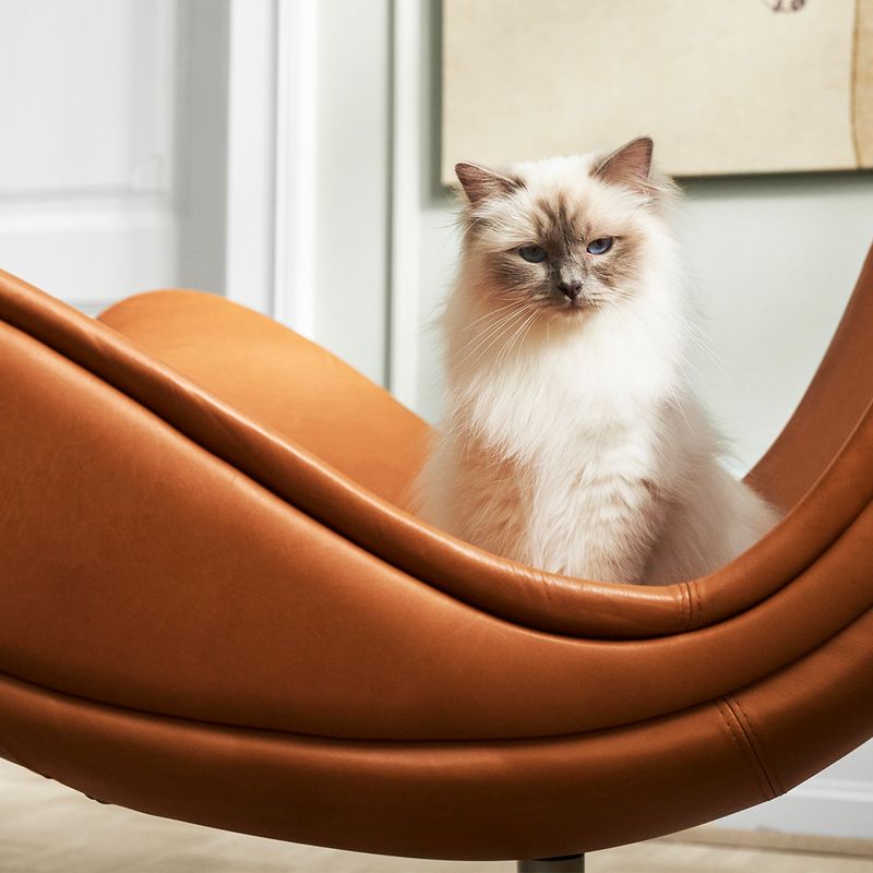 Birman
