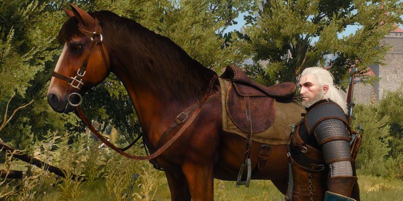 Roach, Geralt's Faithful Horse