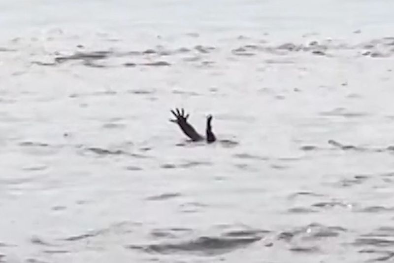 Myth of Drowning Behavior