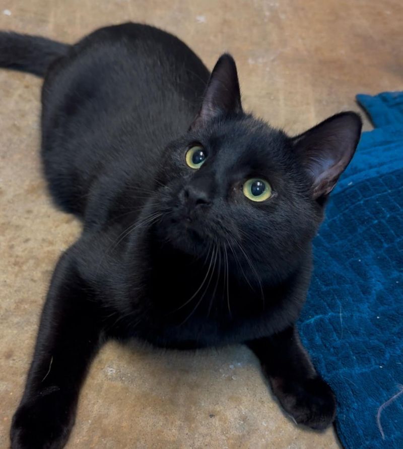 Inky's Curious Exploration