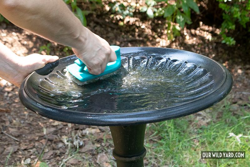 Lack of Fresh Water