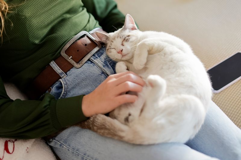 Purring