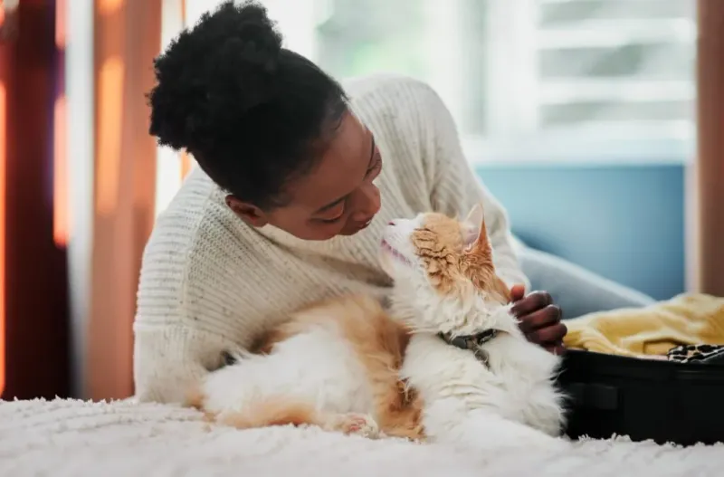 Purring When Near You