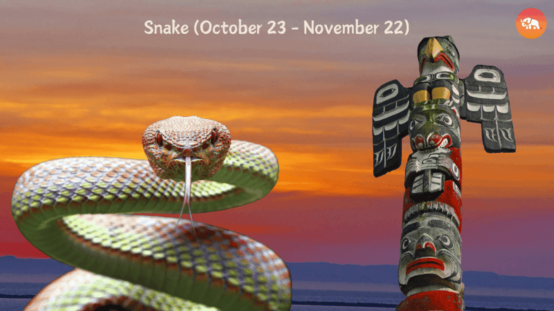 Snake