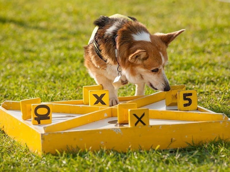 Problem Solving Skills