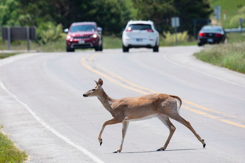 Michigan