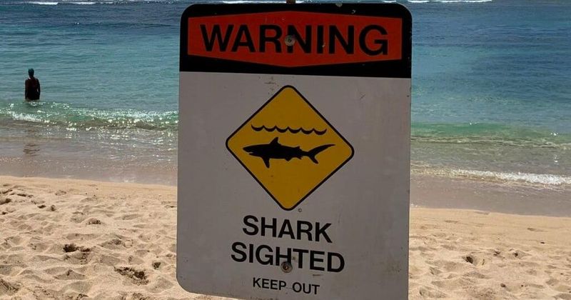 Hawaii (Oahu & Maui)