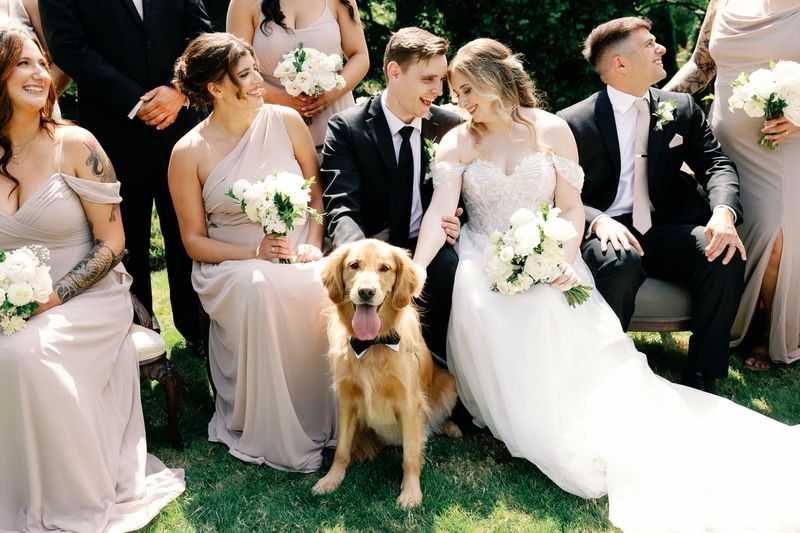 Pet-Friendly Venue